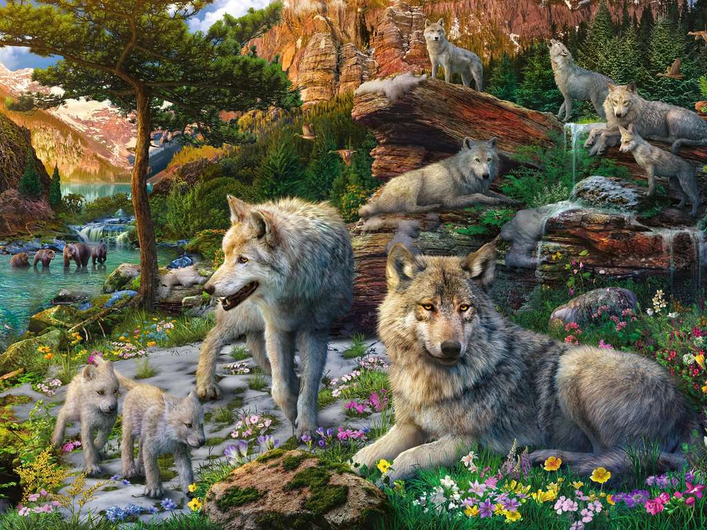 Puzzle 1500 Teile Wolfsrudel im Frühlingserwachen 00.719 - Bild 2