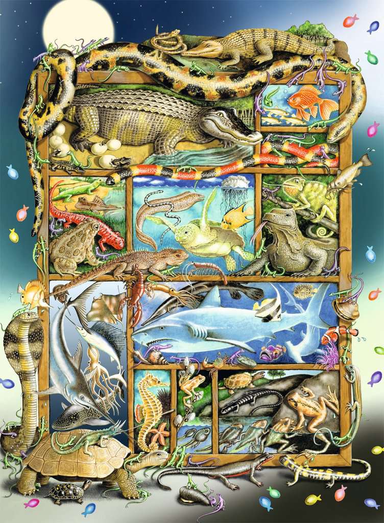 Puzzle 200 Teile Reptilien im Regal 00.866 - Bild 2