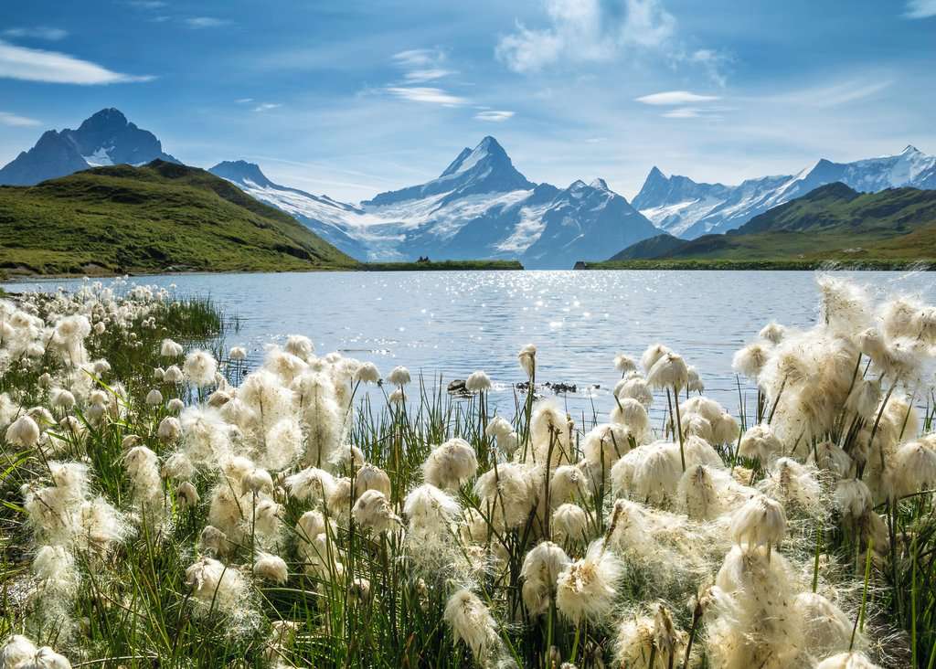 Puzzle 1000 Teile Beautiful Switzerland Bachalpsee bei Grindelwald 01.309 - Bild 2