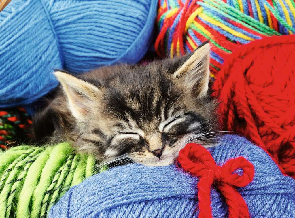 Puzzle 100 Teile Wool Cat - mit grösseren Teilen 01.363 - Bild 2