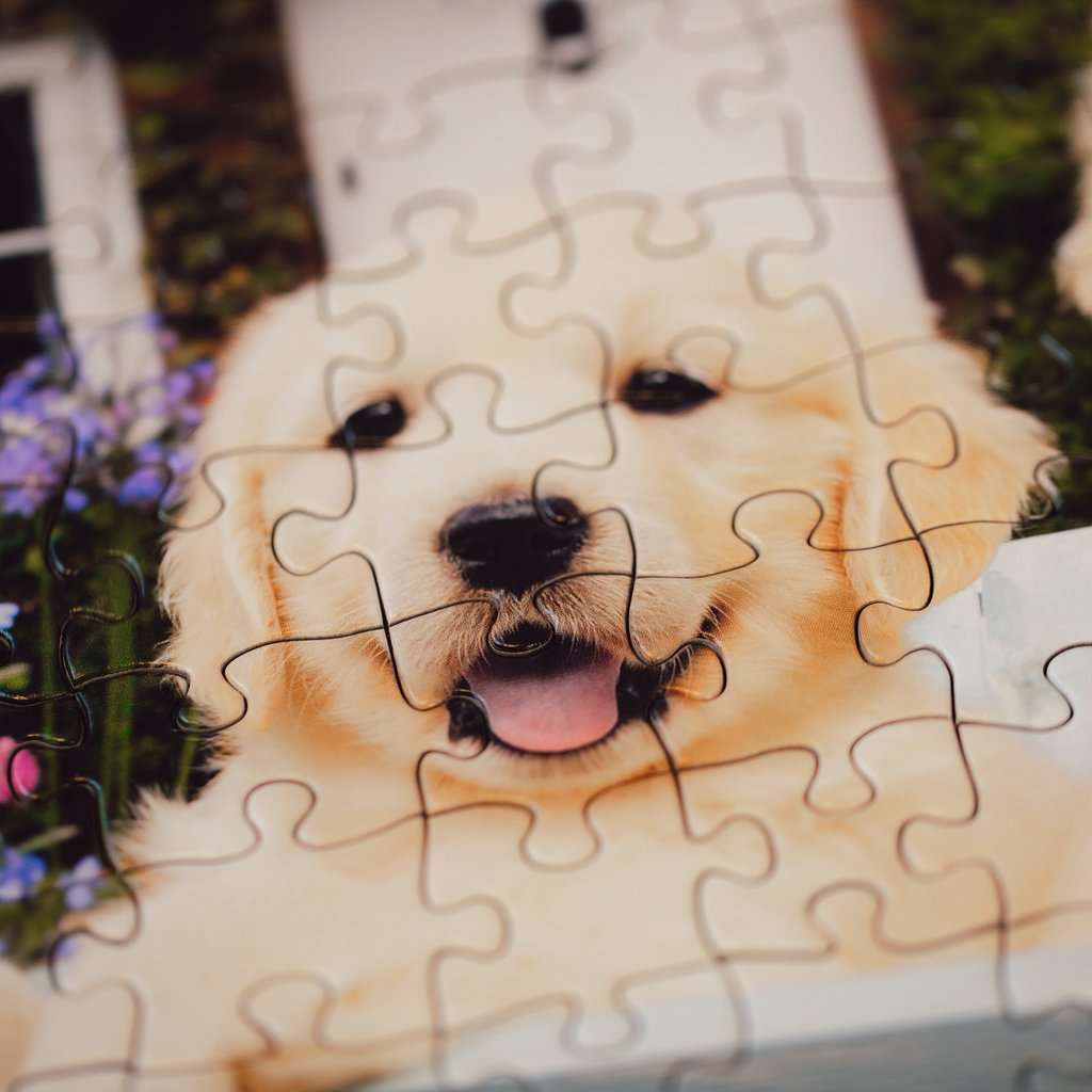 Puzzle 200 Teile Golden Retriever - mit grösseren Teilen 01.368 - Bild 6