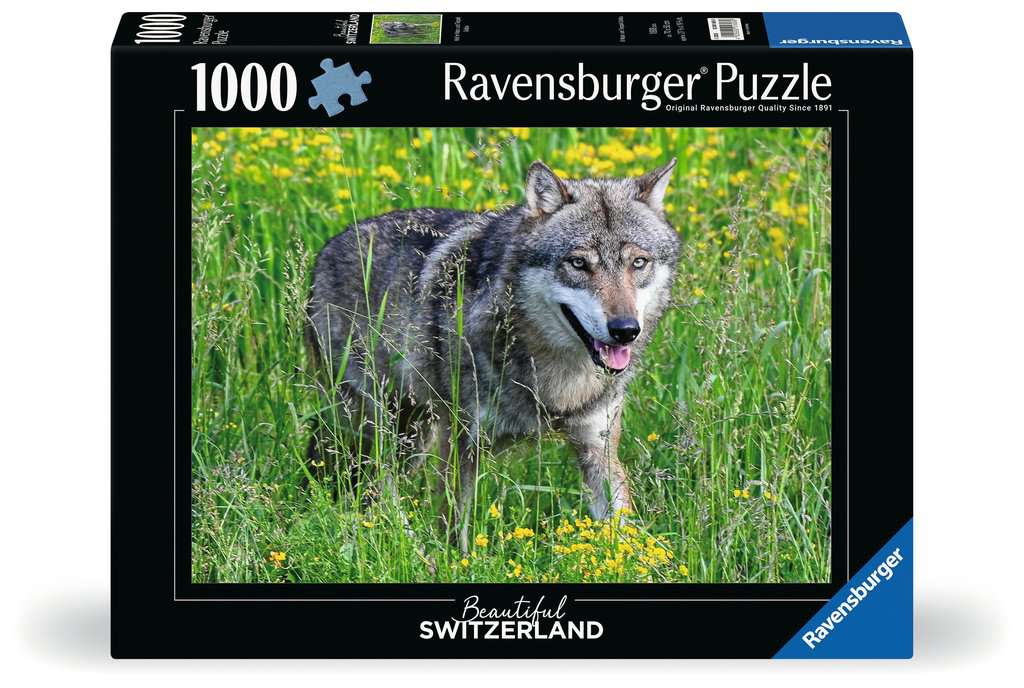 Puzzle 1000 Teile Beautiful Switzerland Wolf im Tierpark Goldau 01.606 - Bild 1
