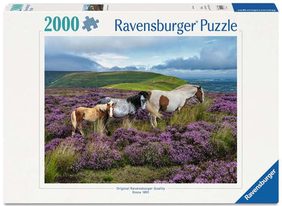 Puzzle 2000 Teile Wildpferde in der Heide 01.751