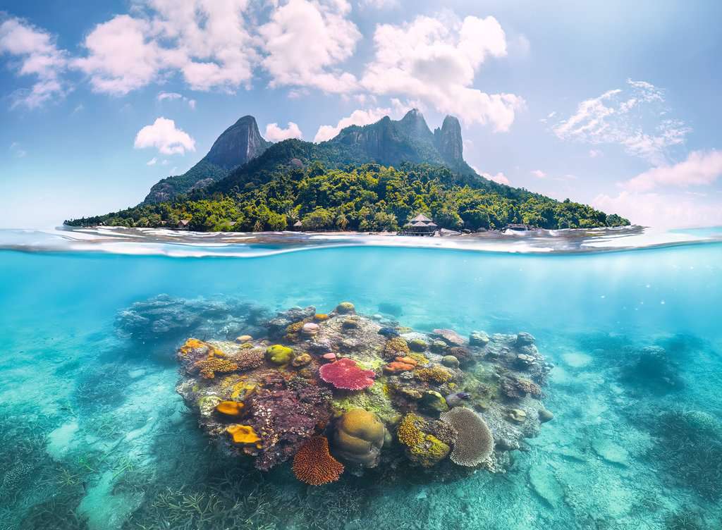 Puzzle 500 Teile Insel und Korallenwelt 01.798 - Bild 2