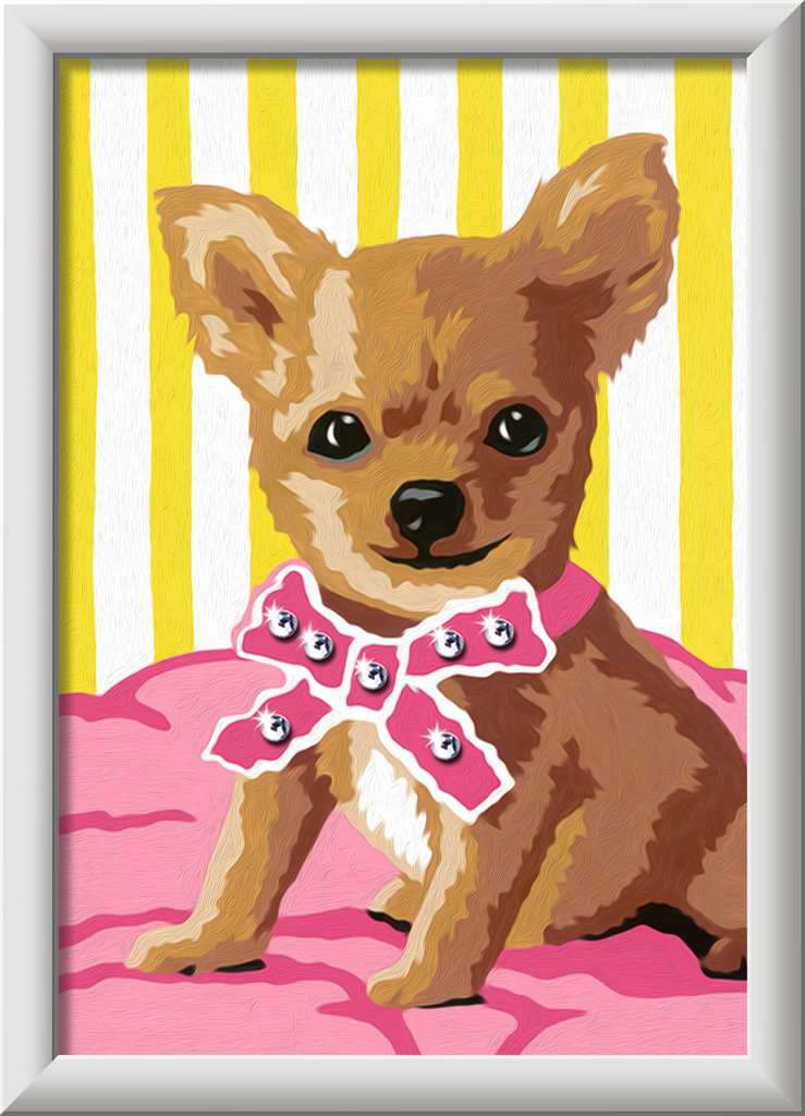 CreArt Kleiner Chihuahua 22x16cm 23.255 - Bild 2