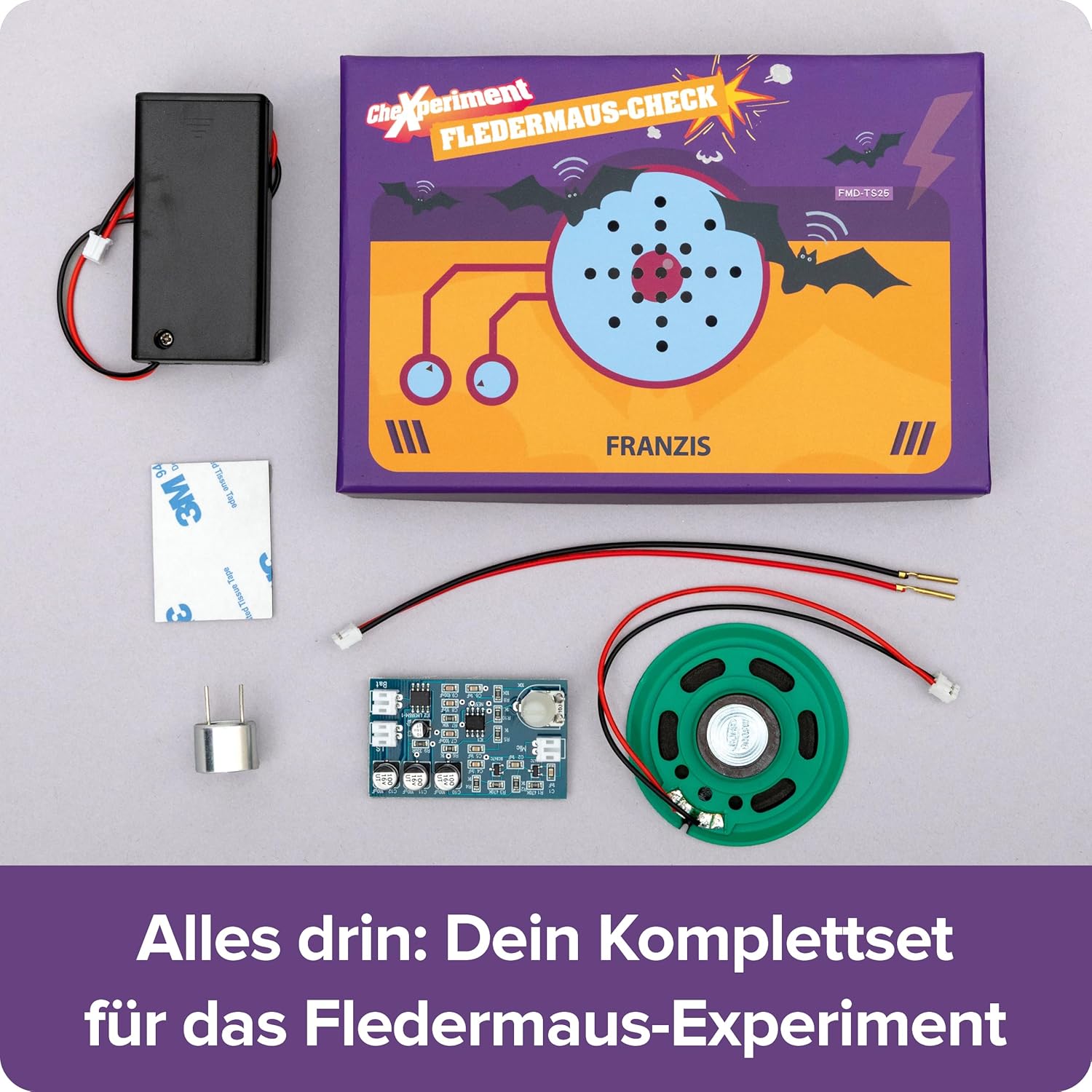 CheXperiment Fledermaus - Check - Bild 5