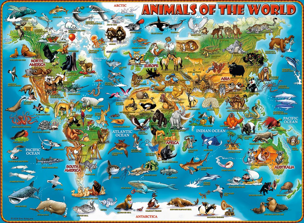 Puzzle 300 Tiere rund um die Welt 13.257 - Bild 2
