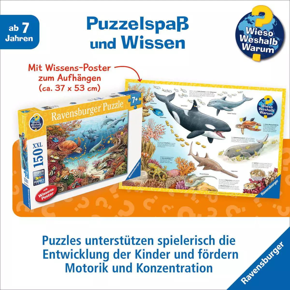 Puzzle 150 Teile WWW Meerestiere am Korallenriff 13.411 - Bild 4