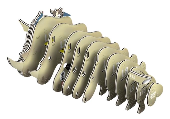 3D Bastelset  Nashorn - Bild 3