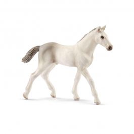Schleich Holsteiner Fohlen 13860 - Bild 1