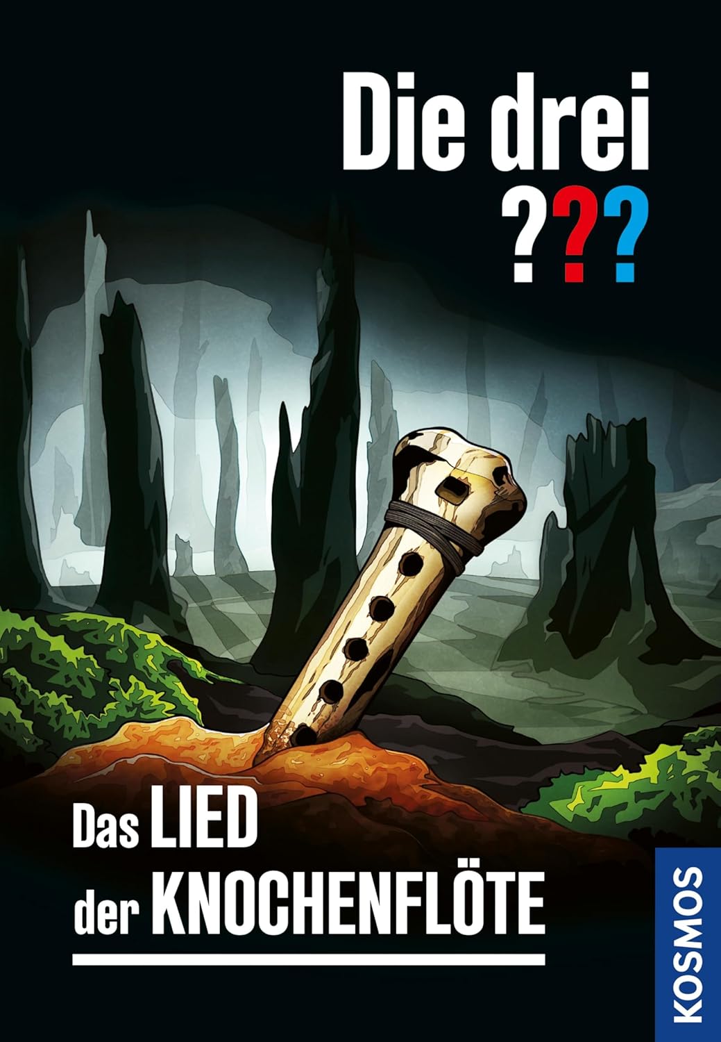 DIE DREI ??? Das Lied der Knochenflöte - Bild 1