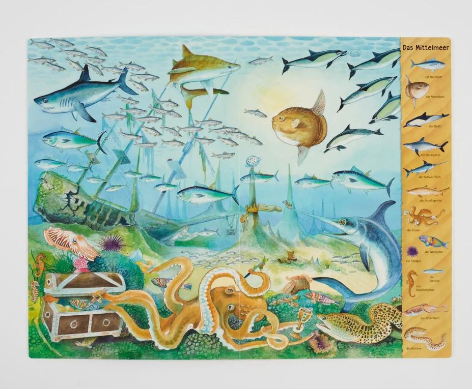 Riesen - Wimmelbuch : Meer - Bild 2