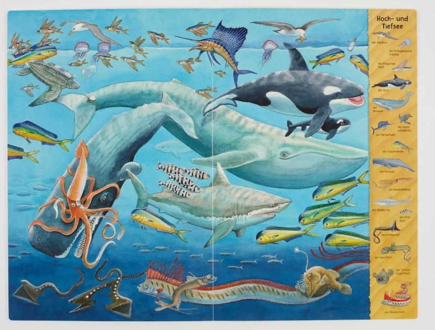 Riesen - Wimmelbuch : Meer - Bild 3