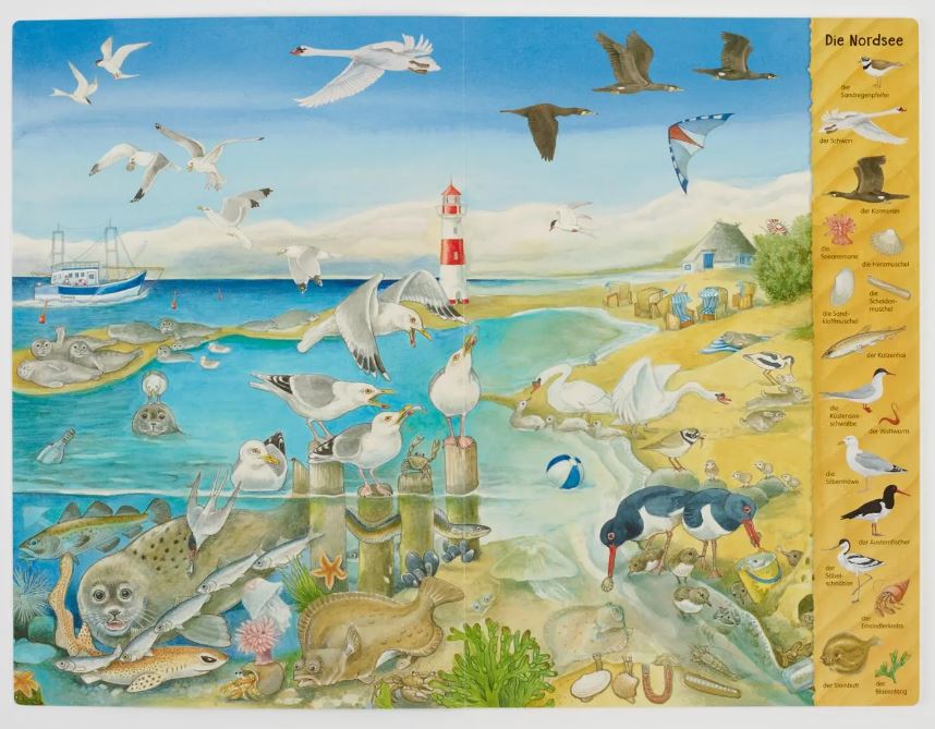 Riesen - Wimmelbuch : Meer - Bild 4