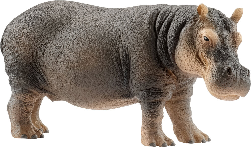 Schleich Flusspferd 14814 - Bild 1