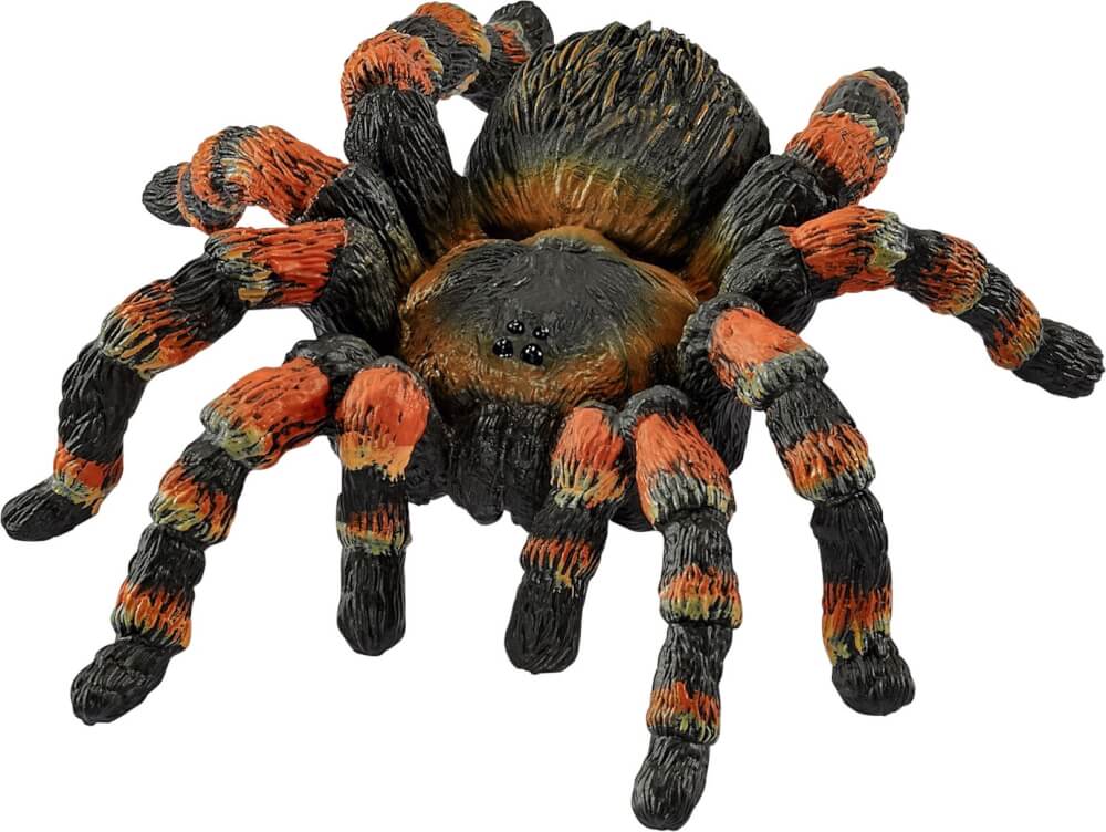 Schleich Vogelspinne 14829 - Bild 1
