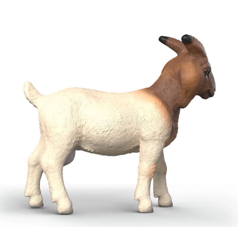 Schleich 14929 Burenziege - Bild 4