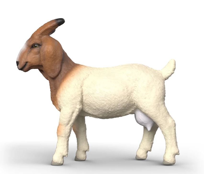 Schleich 14929 Burenziege - Bild 2