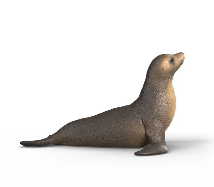 Schleich 14933 Seelöwe - Bild 3