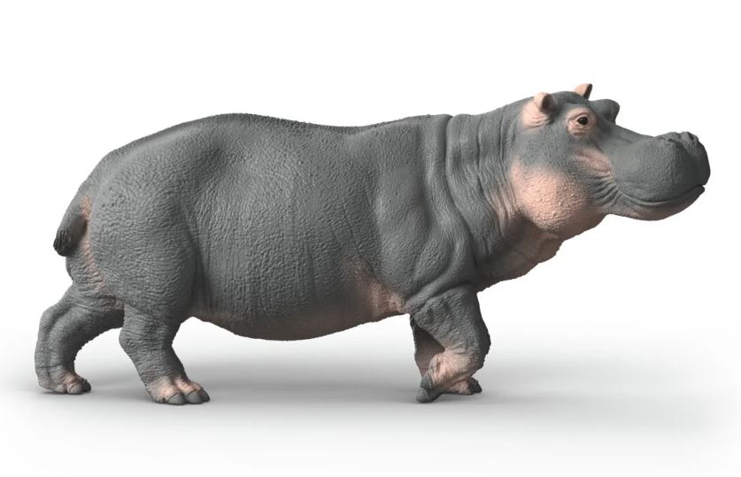Schleich 14938 Flusspferd - Bild 2