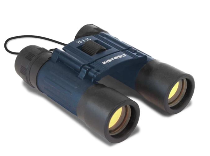 Fernglas 10-fache Vergrösserung - Bild 1