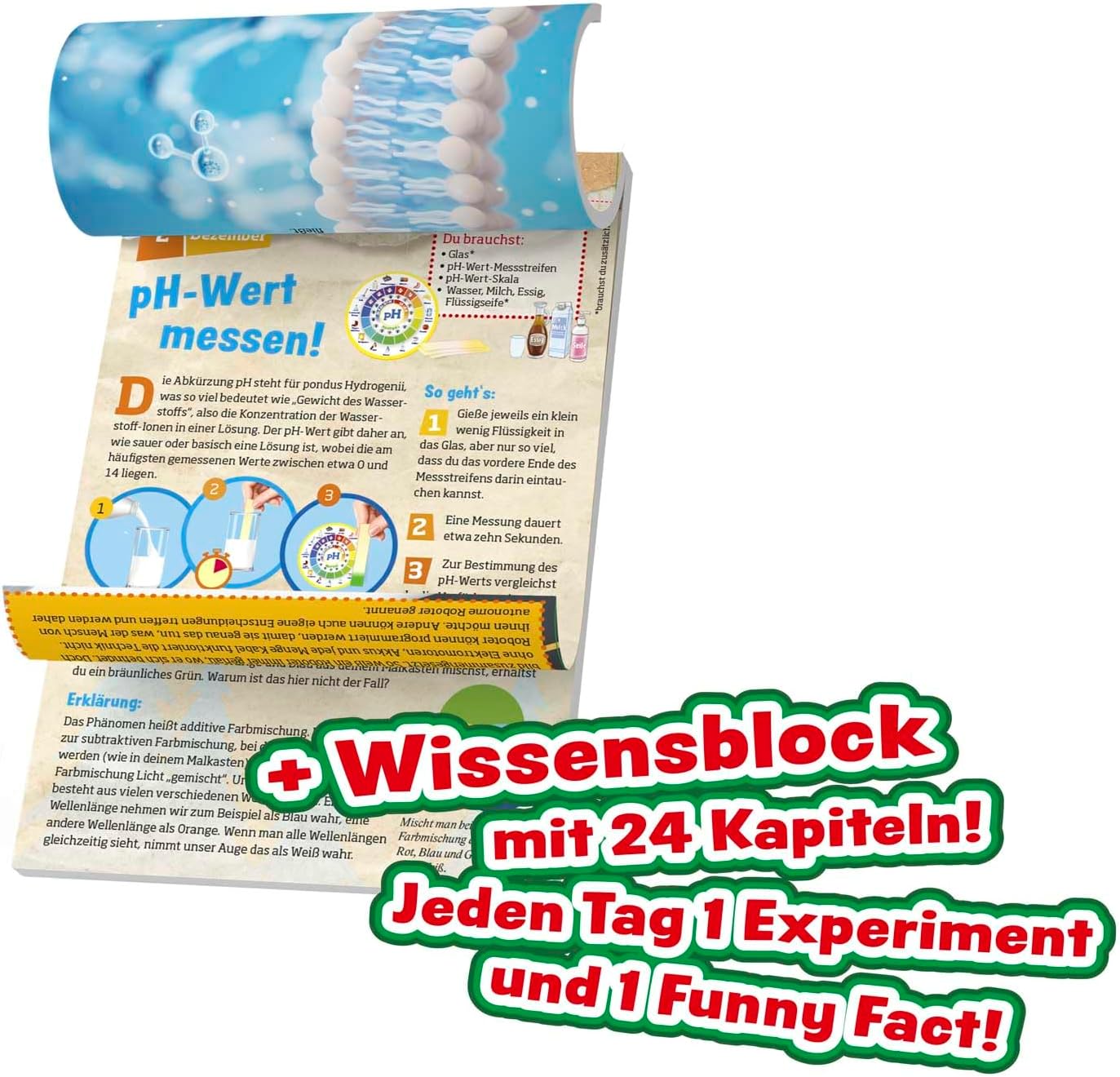 Adventskalender Was ist Was 2025 - Bild 4