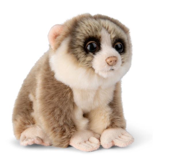 WWF Lori grau 18cm - Bild 1