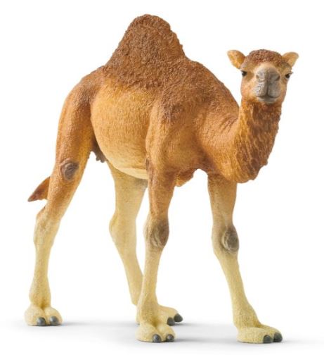 Schleich Dromedar 14832 - Bild 1