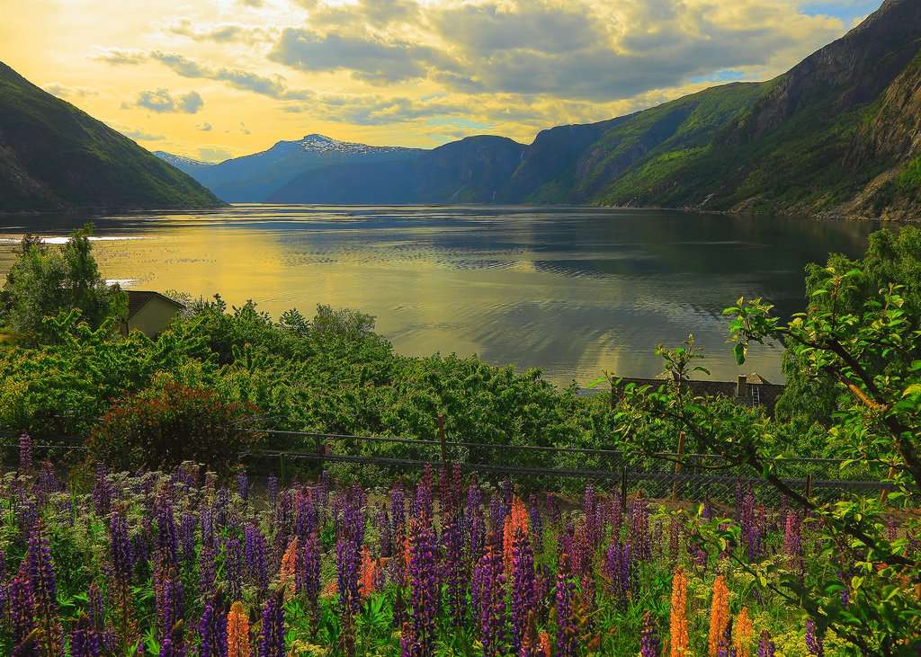 Puzzle 1000 Teile Fjord in Norwegen 16.743 - Bild 2