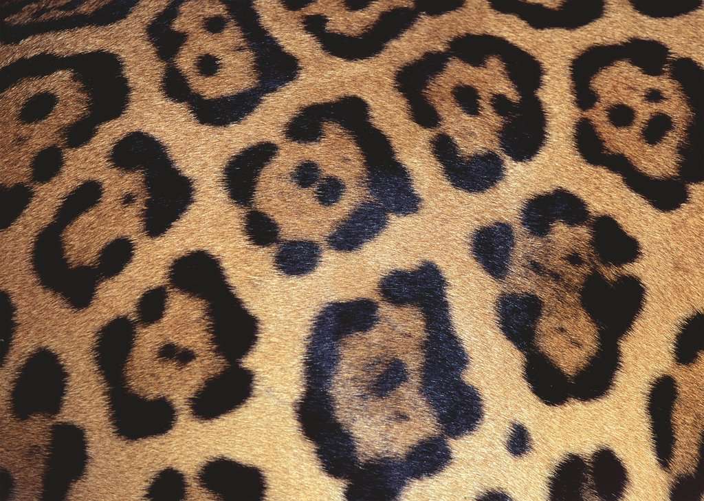 Puzzle 1000 Teile Challenge Animal Print 17.096 - Bild 2