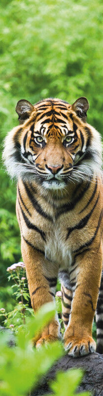 Lesezeichen Tiger 3D - Bild 1