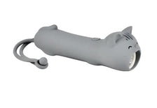 Taschenlampe Katze