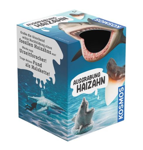 Ausgrabung Haizahn - Bild 1