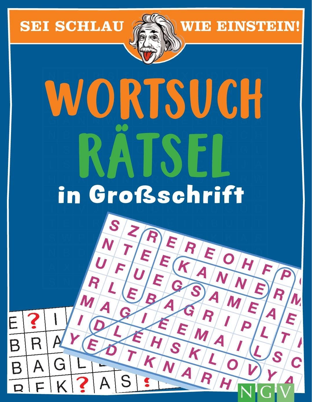 Sei schlau wie Einstein! - Wortsuchrätsel in Grossschrift - Bild 1