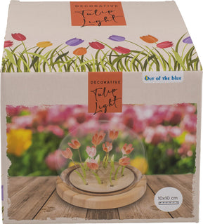 Dekolicht LED mit Tulpen