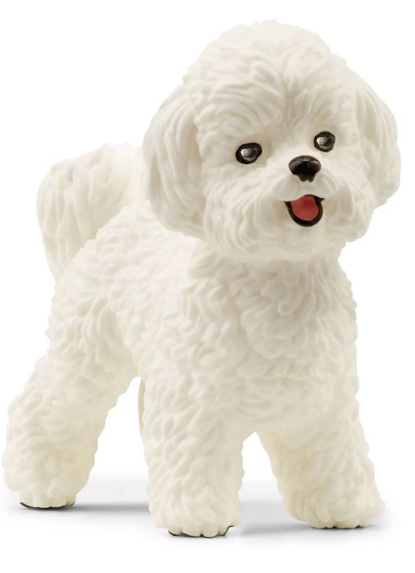 Schleich Bichon Frisé 13963 - Bild 1
