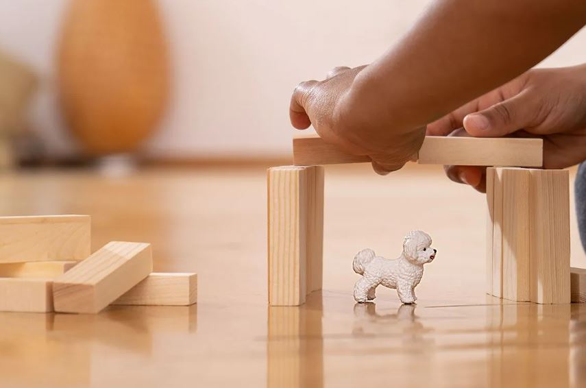 Schleich Bichon Frisé 13963 - Bild 2