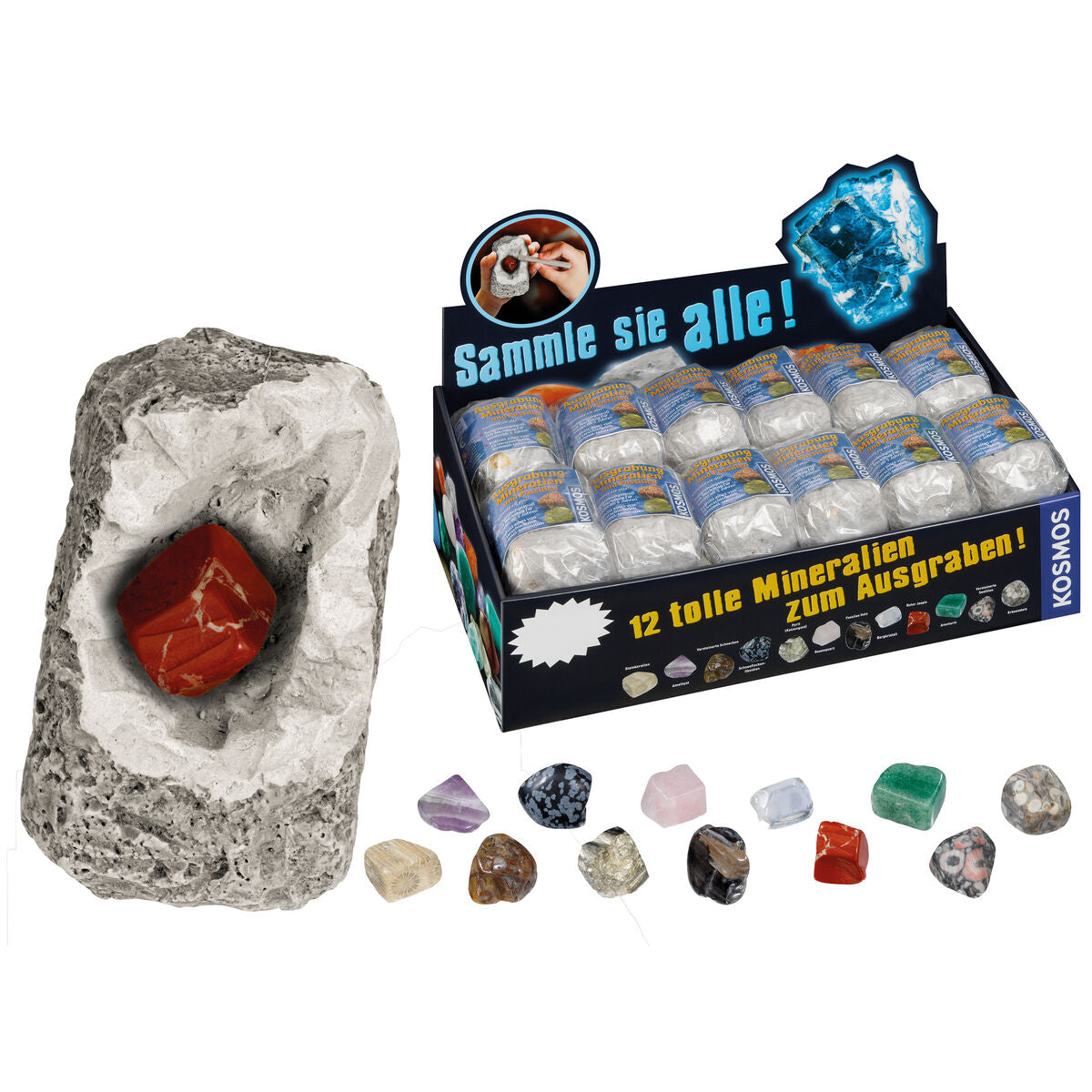 Mineralien oder Fossilien zum Ausgraben - Bild 2