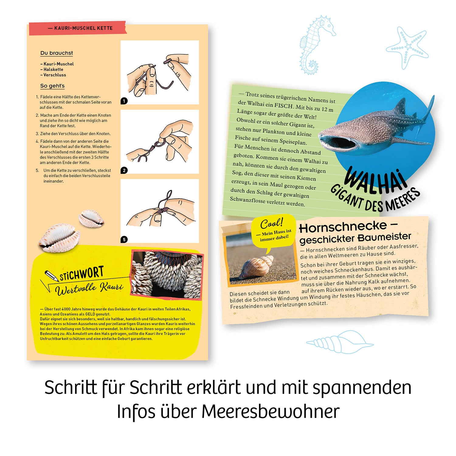 Mitbring : Meeres - Abenteuer - Bild 3