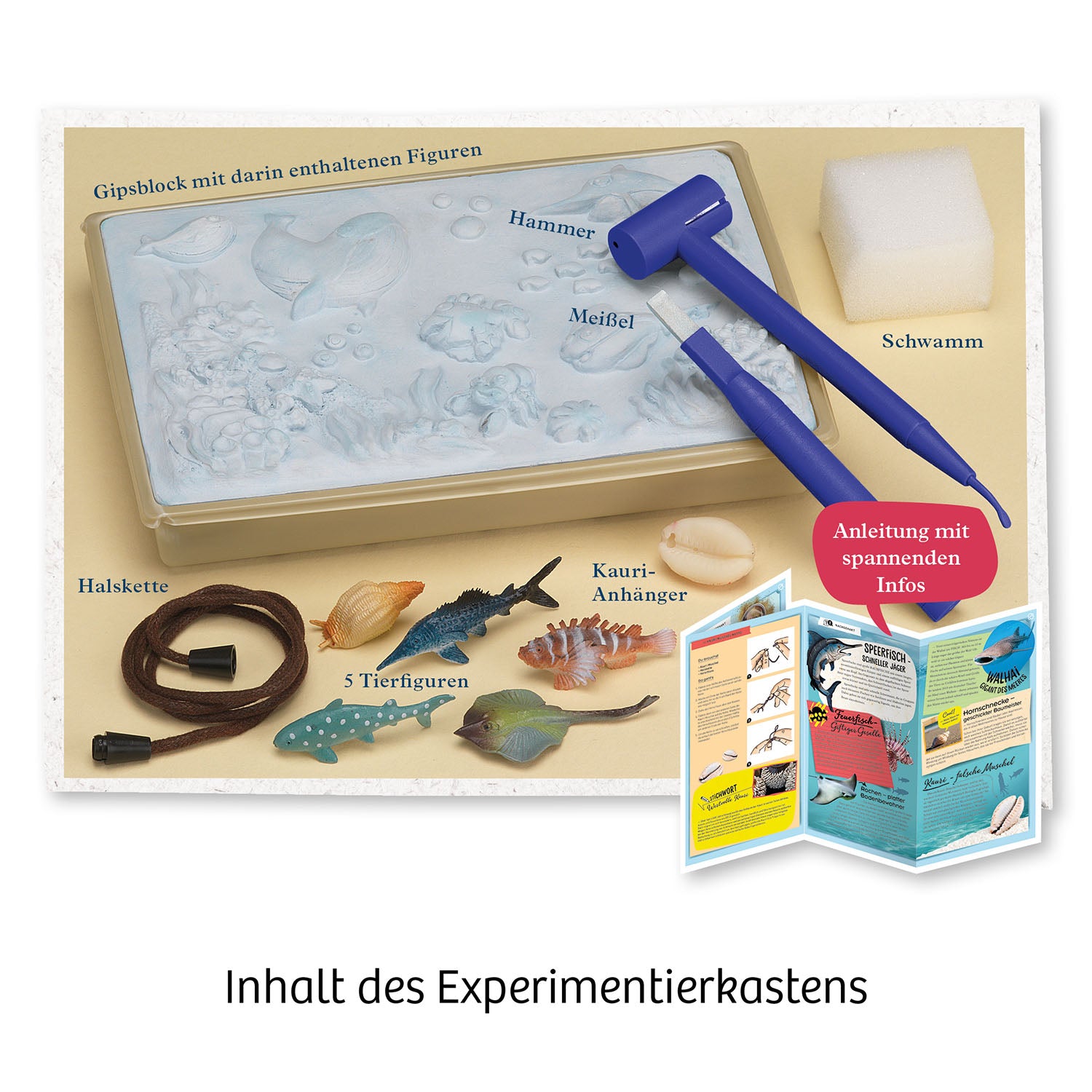 Mitbring : Meeres - Abenteuer - Bild 2