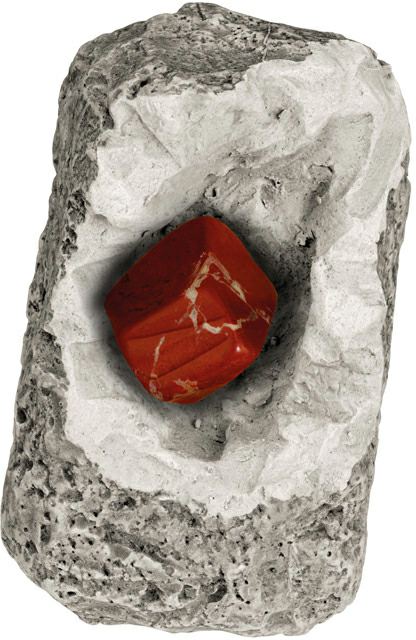 Mineralien oder Fossilien zum Ausgraben - Bild 3