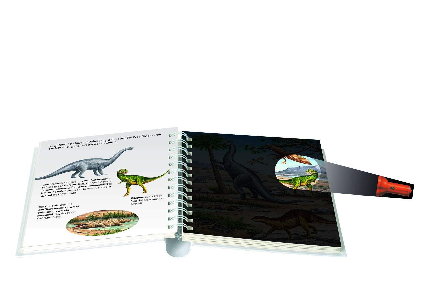 Licht an! Im Reich der Dinosaurier - Bild 2