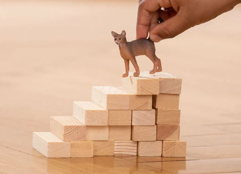 Schleich Abessinierkatze 13964 - Bild 2