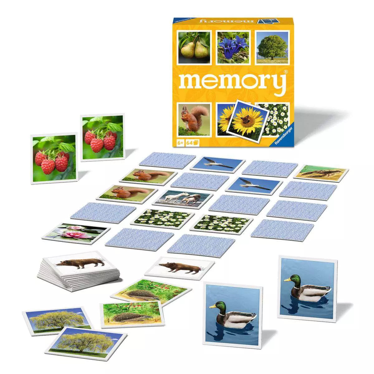 memory Natur 20.881 - Bild 2