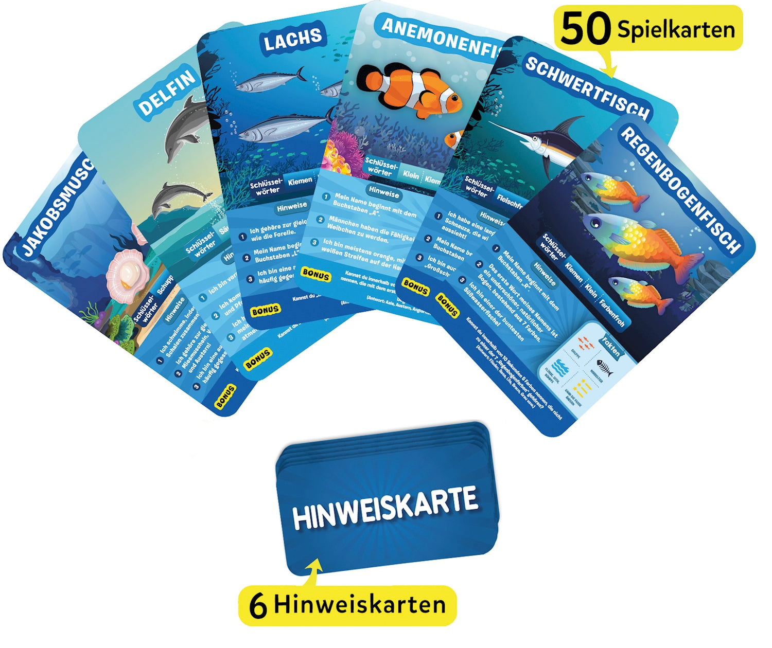 10 Mal raten Meerestiere, Spannendes Fragespiel - Bild 2