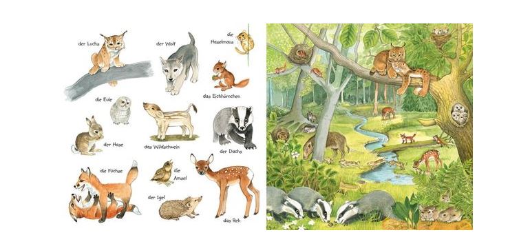 Mein kleines buntes Bildwörterbuch - Viele Tierkinder - Bild 2
