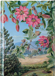 FLAME TREE Notizbuch A6 mit Magnetverschluss Brisbane