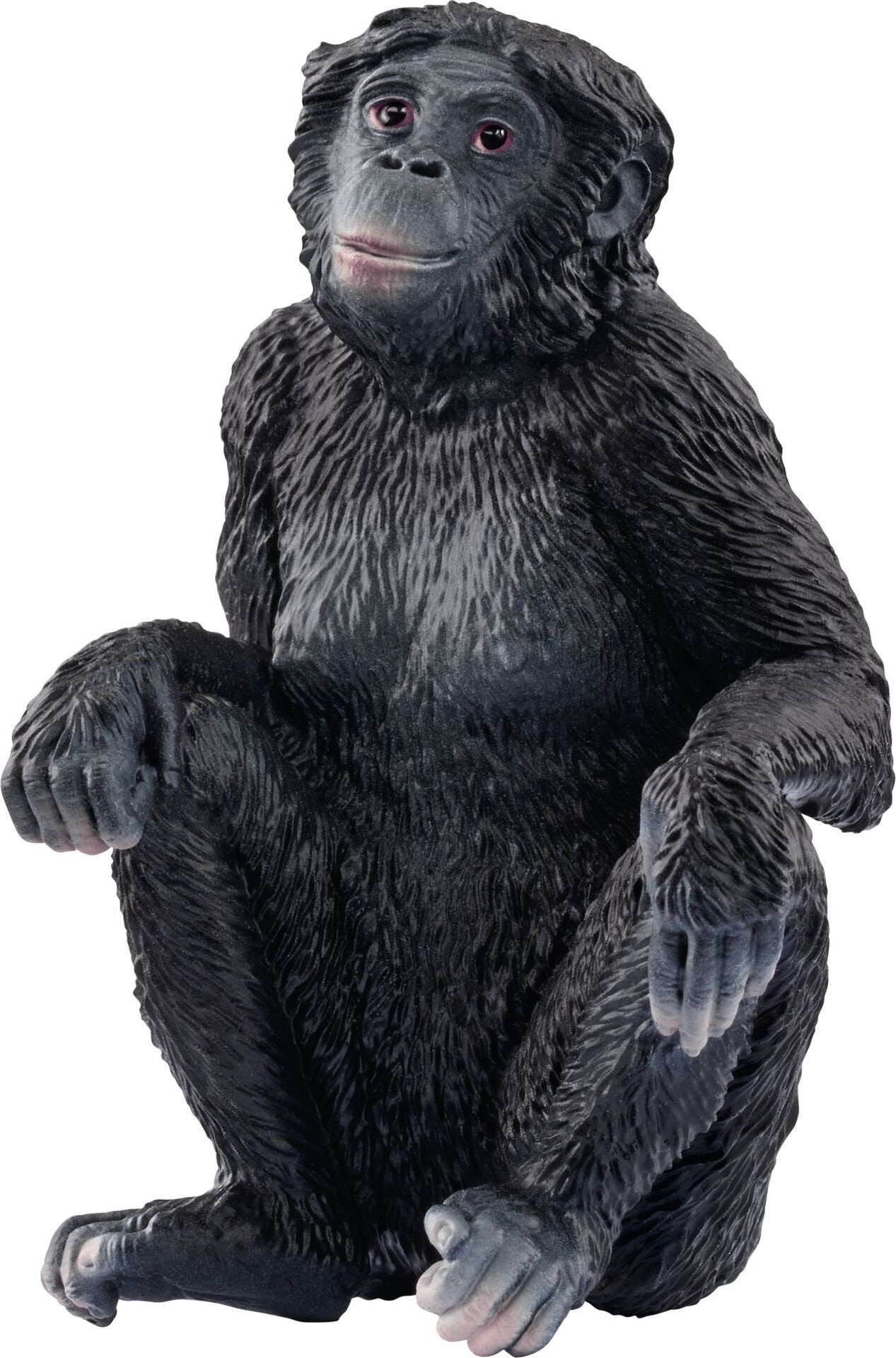 Schleich Wild Life Bonobo Weibchen 14875 - Bild 1
