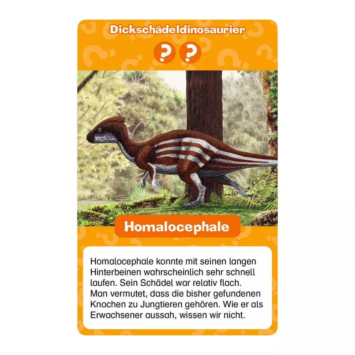 WWW Dinosaurier Quartett 22.359 - Bild 6