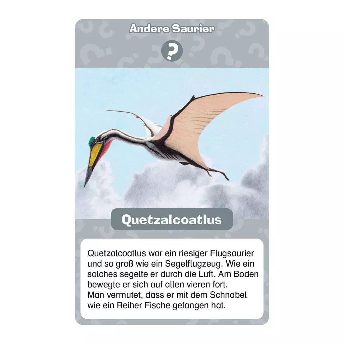 WWW Dinosaurier Quartett 22.359 - Bild 9